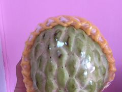 -三亚新鸿港水果一级批发市场