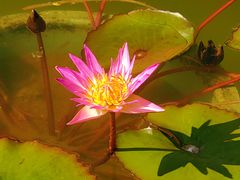 -国家植物园南园