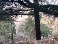-华清宫景区