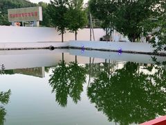 -向外鱼乐·土菜·虹鳟鱼