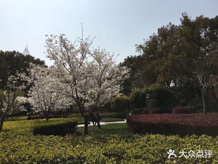 徐家汇源景区-衡山公园图片