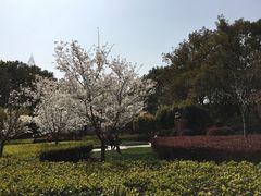 -徐家汇源景区-衡山公园