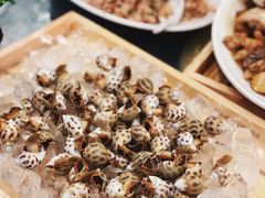 冰镇花螺-七鲜渔港美食餐厅(巽寮湾海景店)