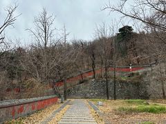 -阳台山自然风景区