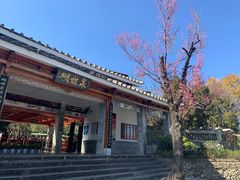 -蝴蝶泉公园