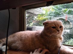 景观位-咖法森林·咖啡  酒吧(天河店)