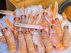 -松鹤精致料理(五一中路店)