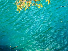 -叠溪松坪沟景区