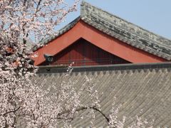-大雁塔文化休闲景区-北广场
