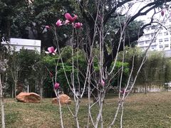 -晓港公园