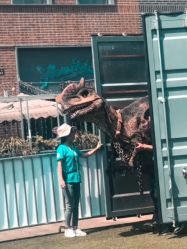 -恐龙探索乐园(磁器口店)