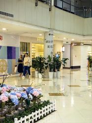 -侨治发型