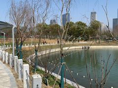-天鹅湖体育公园
