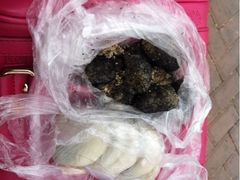 iphone_upload_pic-叶氏麻糍(鼓浪屿店)