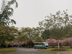 -中国科学院西双版纳热带植物园