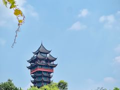 -塔子山公园