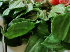 -紫光园·烤鸭·北京菜(劲松店)