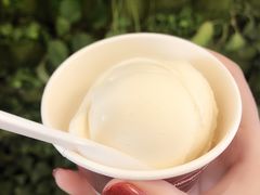 香草单球-哈根达斯(美罗城店)