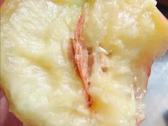 -老袁家蜜桃农场·阳山水蜜桃