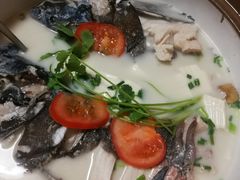 -全乐鱼馆·淳牌有机鱼直营店