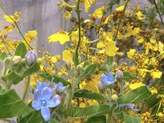 -四季美学色彩形象管理服装搭配