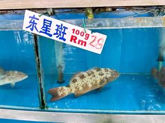 -旗鱼海番村(Orang Asli)