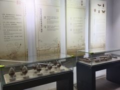 -鄞州雪菜博物馆