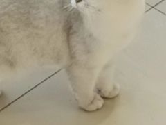 -怪兽屋·羊驼·猫咖·狗咖(俊华广场店)