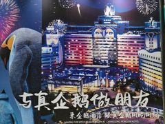 -帝企鹅自助餐厅•儿童岛•真企鹅(长隆企鹅酒店)