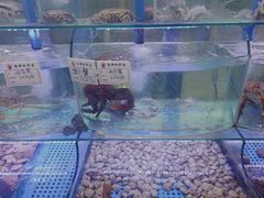 -晶渔坊·海鲜私房菜(东夷小镇店)