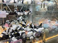 -砂之船长沙奥莱