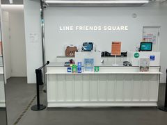 -line friends(明洞旗舰店)