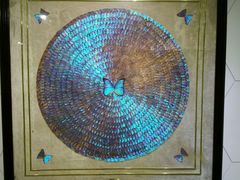 android_upload_pic-上海昆虫博物馆