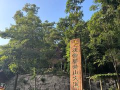 -大屏嶂森林公园