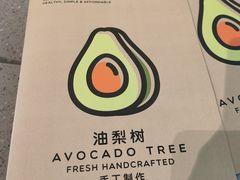 -油梨树AVOCADO TREE(望京店)