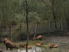 -溱湖国家湿地公园