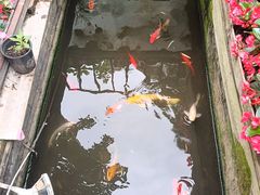 -老洋房花园饭店(绍兴路店)