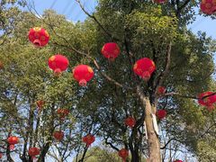 -重庆园博园