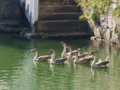 -广州市干部健康管理中心