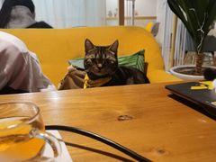 -有何Book(六堰体育馆店)