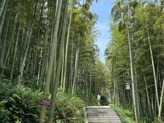 -东明山森林公园