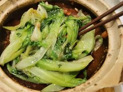 粤式虾膏啫生菜-尚一汤 广东炖汤(金桥国际店)
