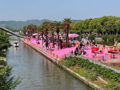 -苏州太湖西山岛开心农场