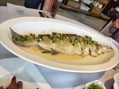 -顺峰(农展馆店)