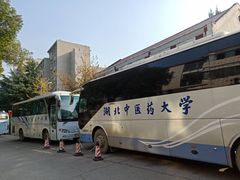 -湖北中医药大学(昙华林校区)