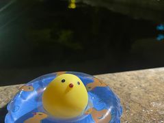 -江门古兜温泉小镇
