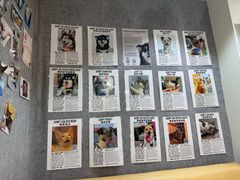 -瑞派申生动物医院·24H夜诊·国际动物医疗中心·骨外科(吴中路店)