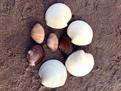 -南戴河国际娱乐中心