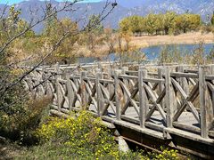 -野鸭湖国家湿地公园