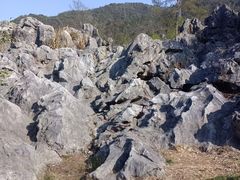 -千岛湖石林
